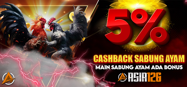 CASHBACK SABUNG AYAM