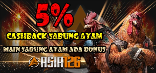 CASHBACK SABUNG AYAM